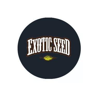 Exotic Seed